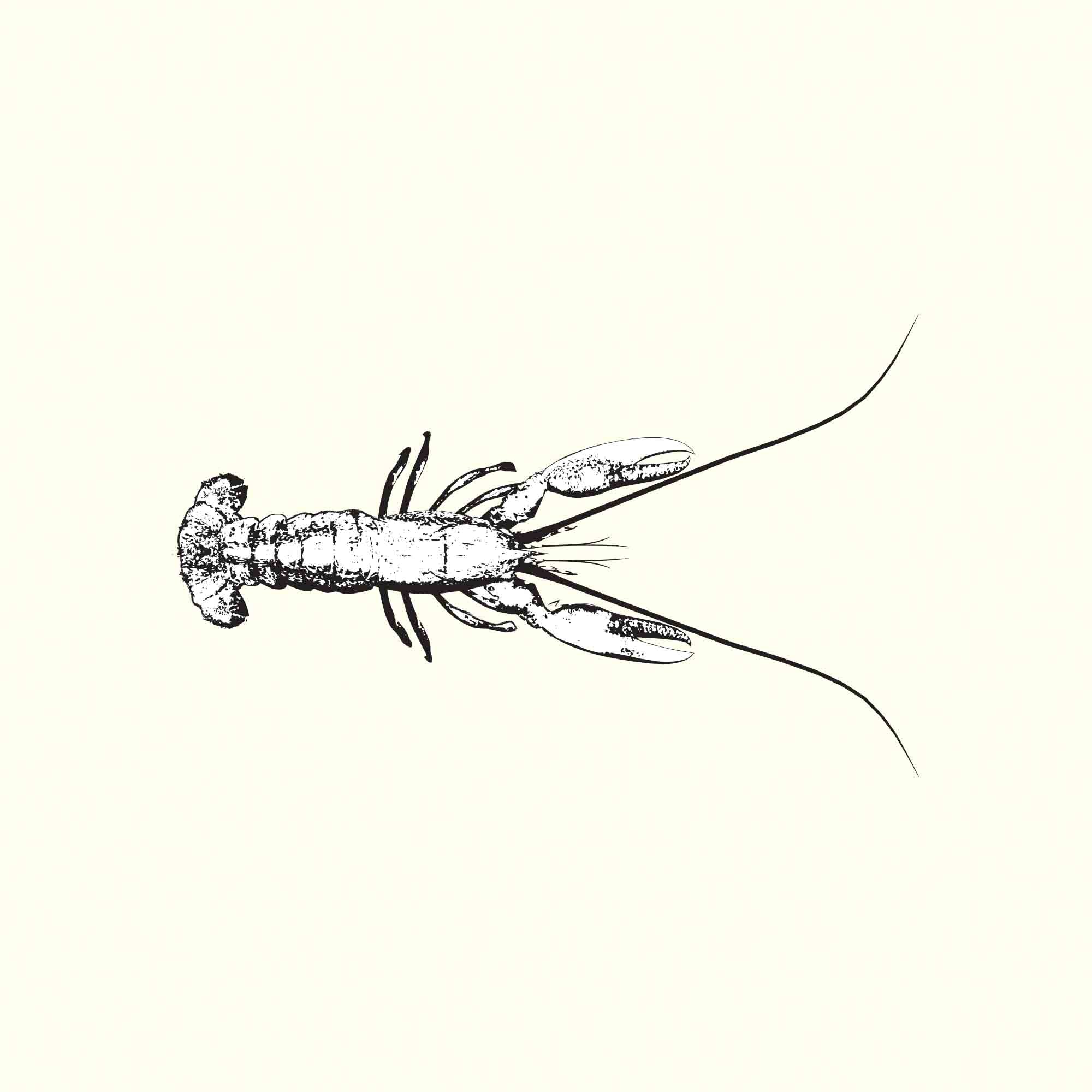 Lobster