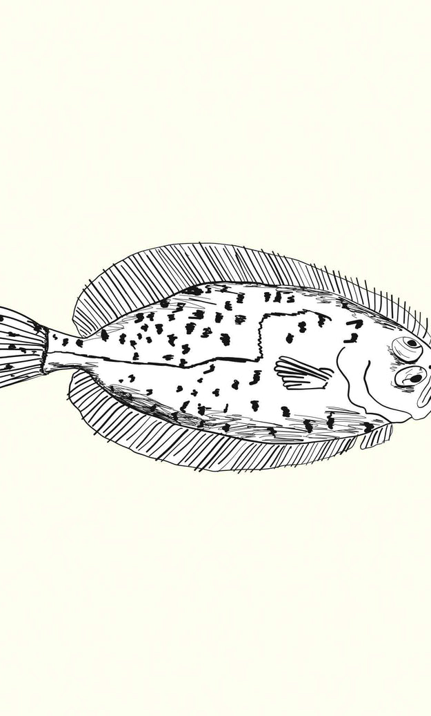 Megrum Fried megrim sole fillets with sauce Romesco – Rockfish
