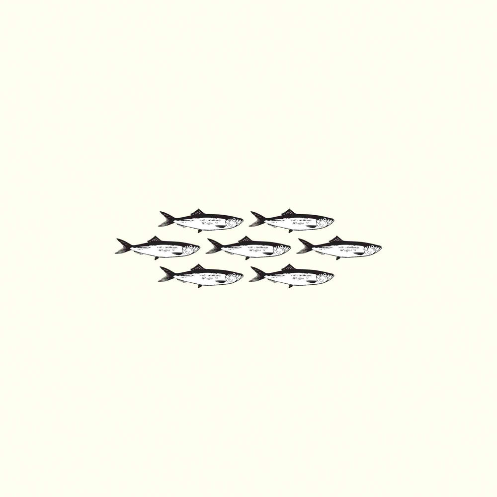 Anchovies