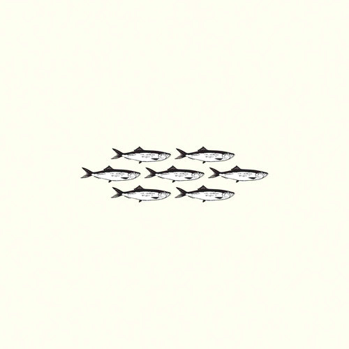 Anchovies