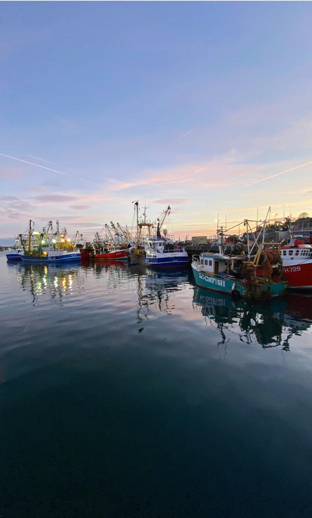 Can commercial fishing and sustainability go together?
