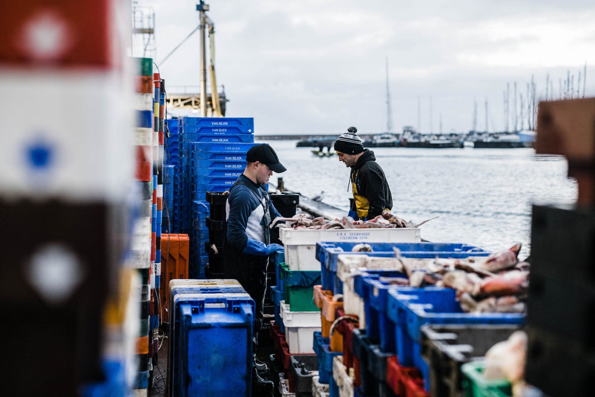 Team working on the quayside in Brixham