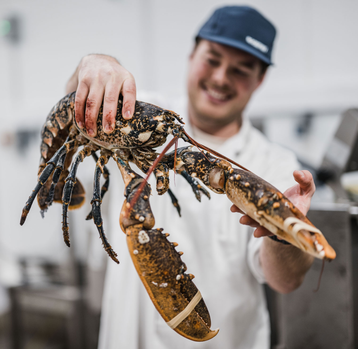 Lobster