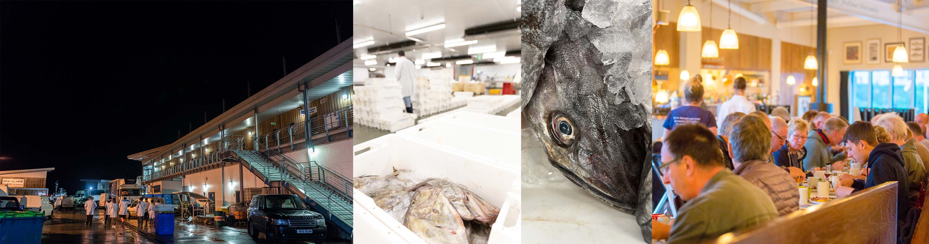 Brixham Fish Market Tour