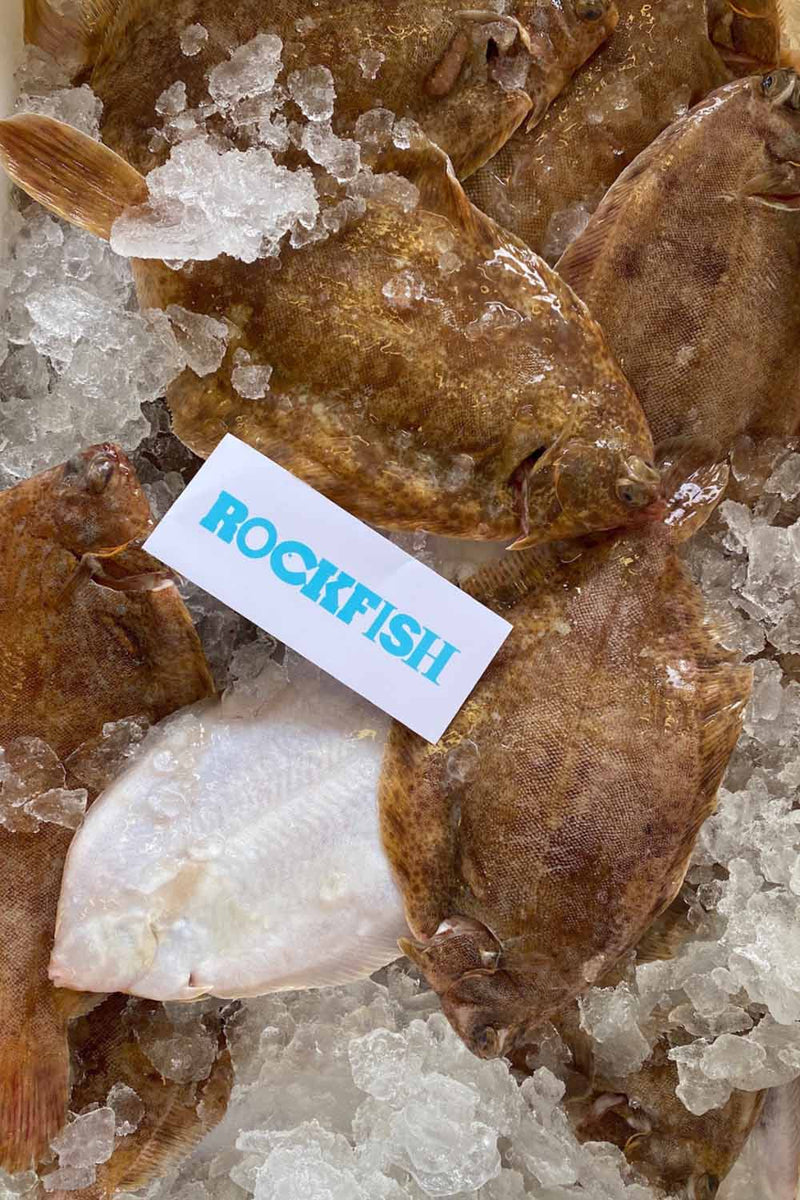 Sole Rack Fish Lemon Sole Fillets - Frozen – Rockfish