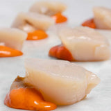 Diver Caught Scallops - Frozen
