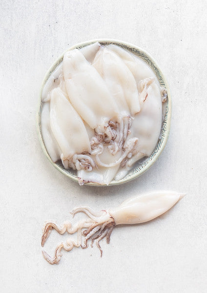 Mini Squid 500g - Frozen