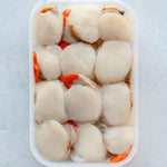 12 disco scallop meat