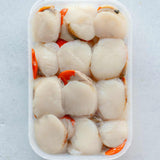 12 disco scallop meat