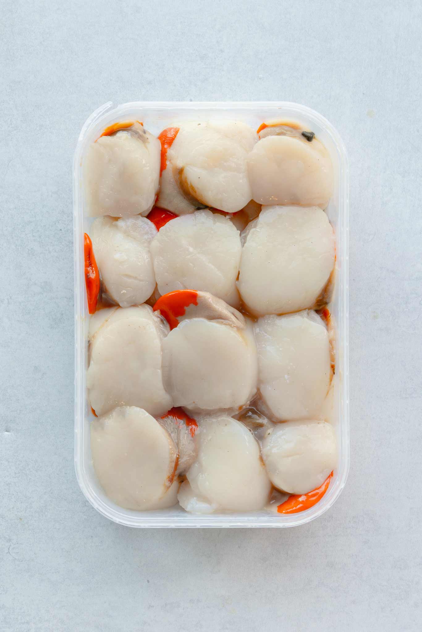 12 disco scallop meat