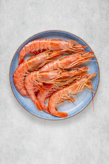 Wild Atlantic shell on prawns