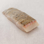 Prime Turbot Fillets from Rockfish