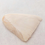Prime Turbot Fillets from Rockfish
