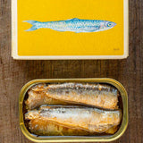 Rockfish Plymouth Anchovies in Olive Oil