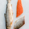 Wild trout fillets next to the whole fish