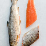 Wild trout fillets next to the whole fish