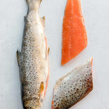 Wild trout fillets next to the whole fish