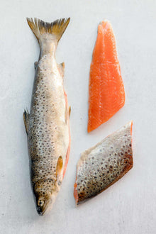 Wild trout fillets next to the whole fish