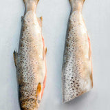 Whole wild trout