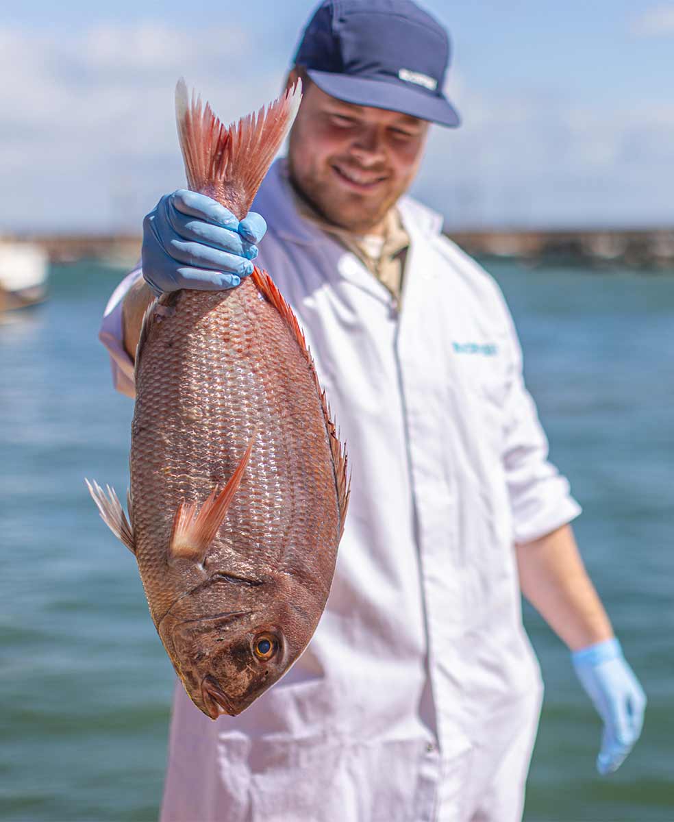 Tommy holding a large couches bream on the quayside in Brixham