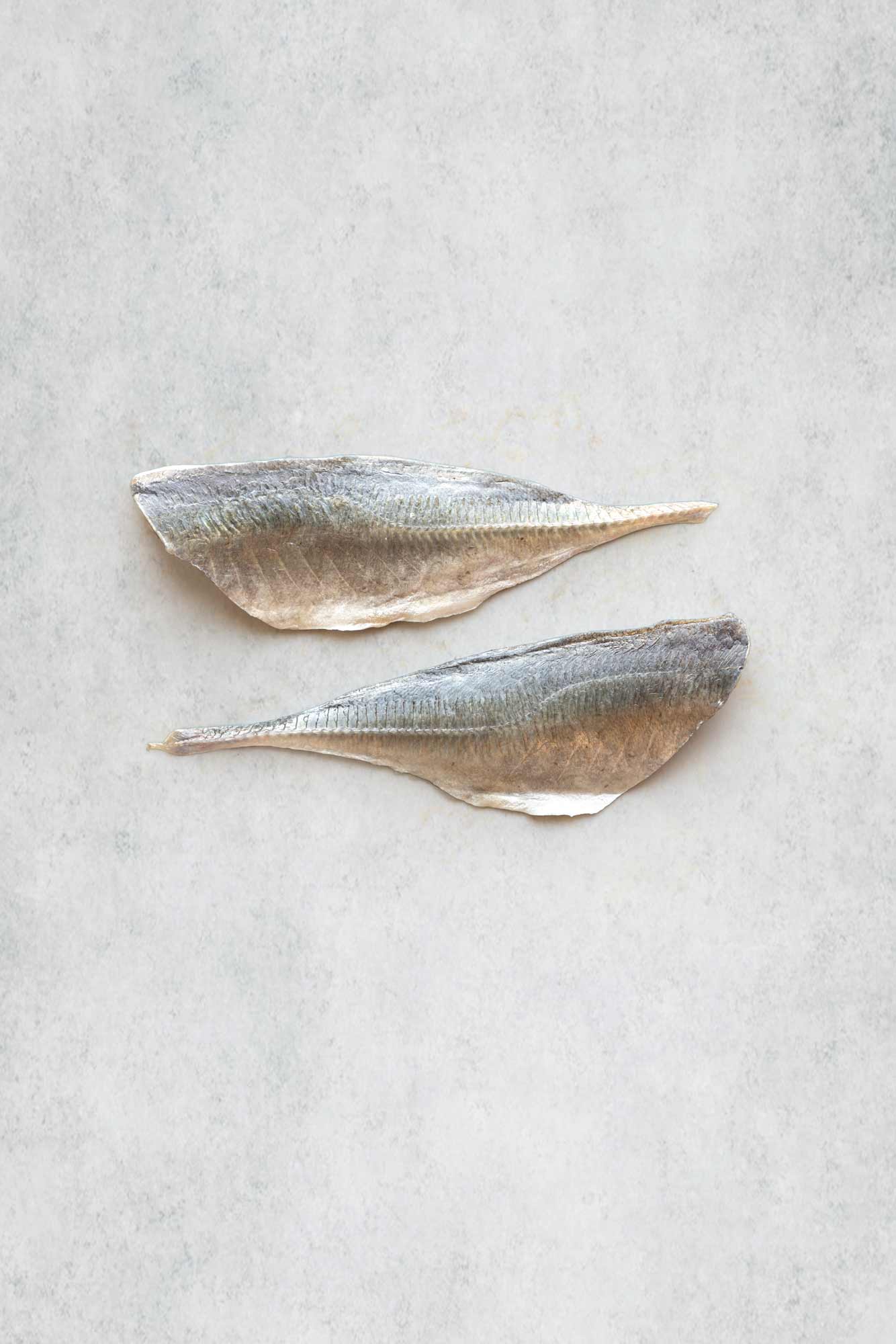 Two horse mackerel fish fillets with silvery-gray skin and pale beige undersides, arranged horizontally on a light gray textured surface.