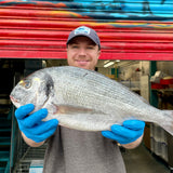 Market Pick - Wild Gilt Head Bream 1.5kg