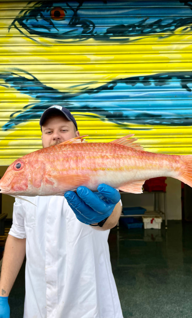 Mitch's Pick - Red Mullet 1 kg