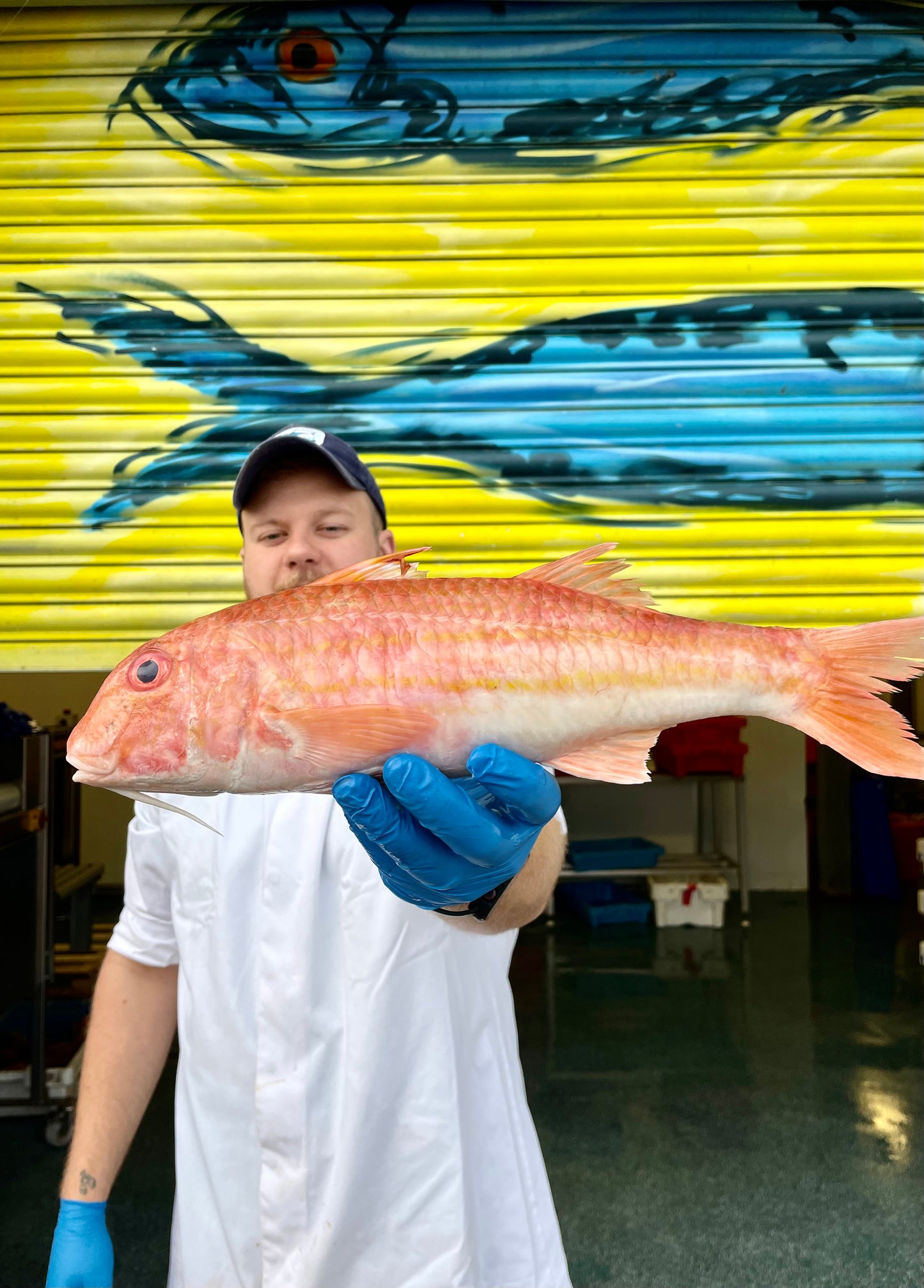 Mitch's Pick - Red Mullet 700g