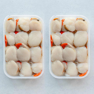 2 Dozen Disco Scallops for £40