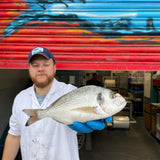 Market Pick - Wild Gilt Head Bream 3-400g