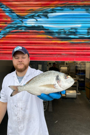 Mitch's Pick - Wild Gilt Head Bream 4-600g