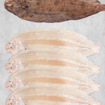 4 Dover Soles from Rockfish