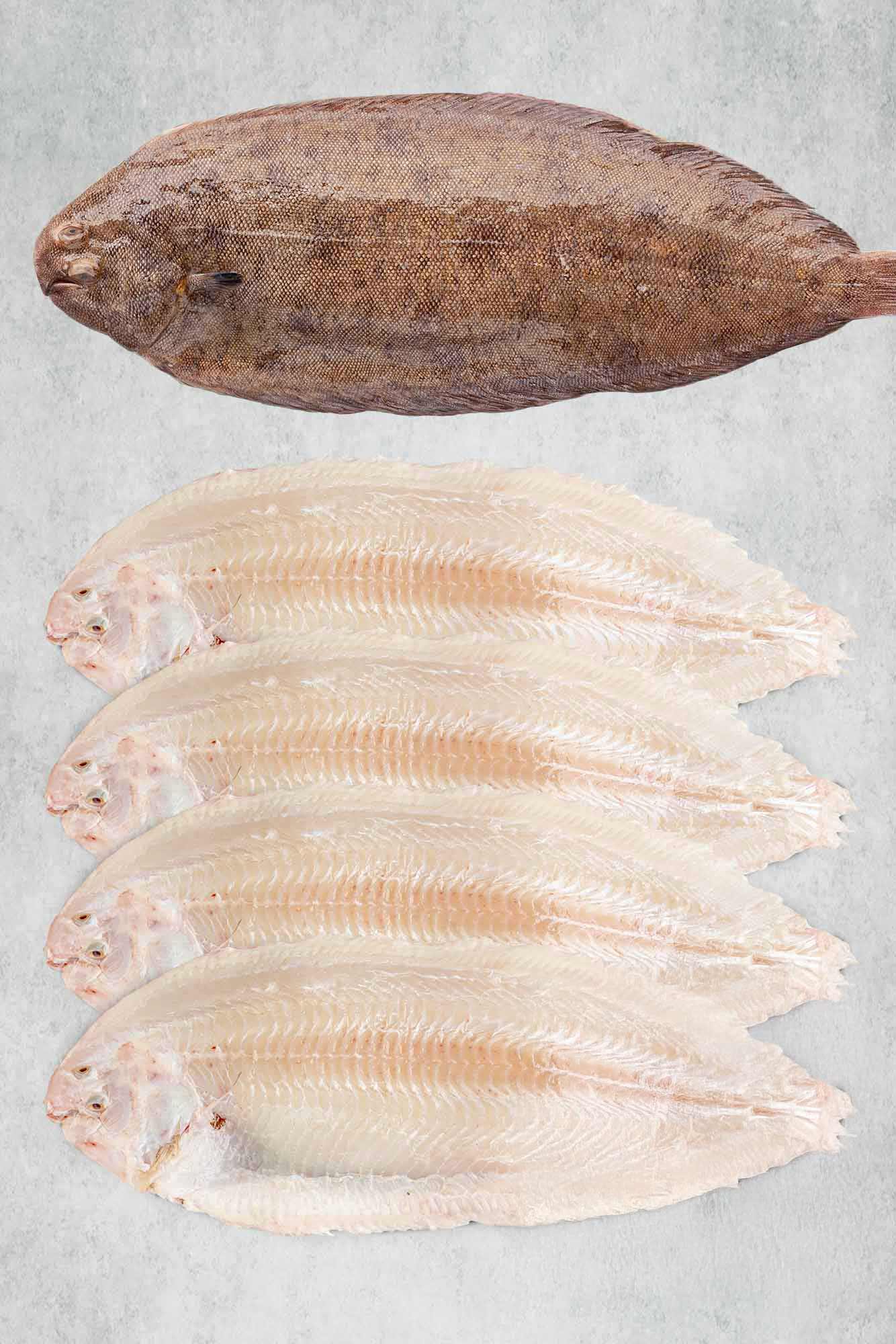 4 Dover Soles from Rockfish