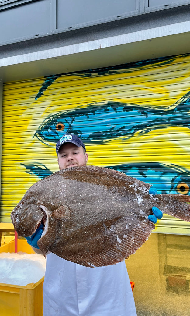 Mitch's Pick - Brill 3.5kg