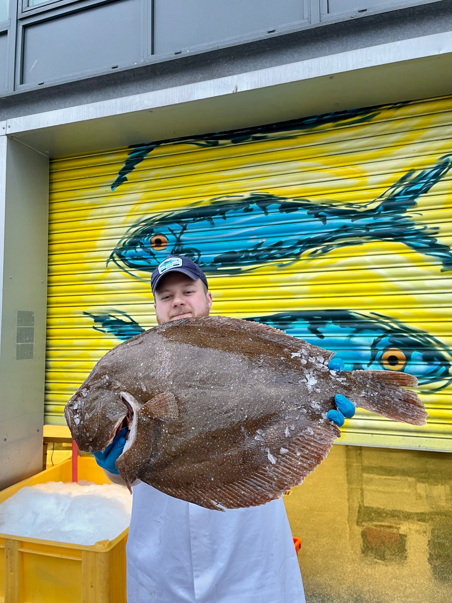 Mitch's Pick - Brill 3.5kg