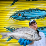 Market Pick - Black Sea Bream 1kg