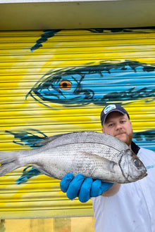 Market Pick - Black Sea Bream 1kg