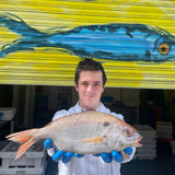 Market Pick - Blackspot Bream 700g