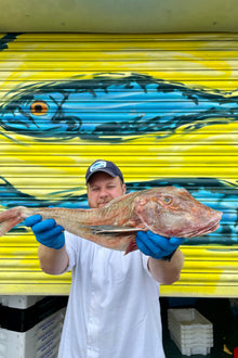 Mitch's Pick - Gurnard 1.8kg