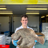 Market Pick - Turbot 900g