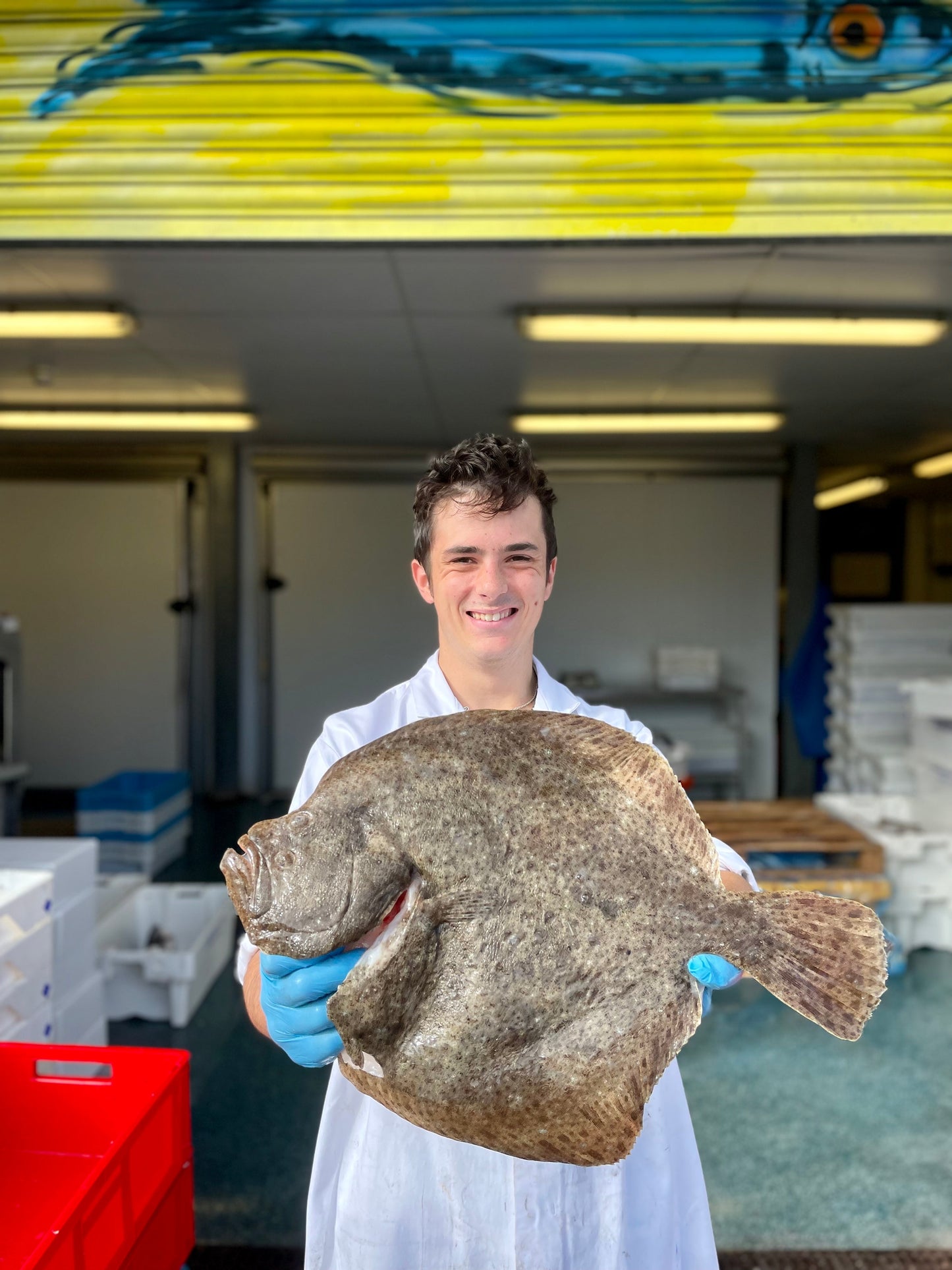 Mitch's Pick - Turbot 900g