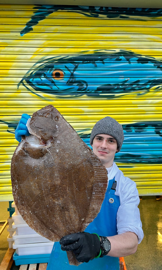 Mitch's Pick - Brill 3kg