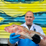 Market Pick - Gurnard 2.4kg