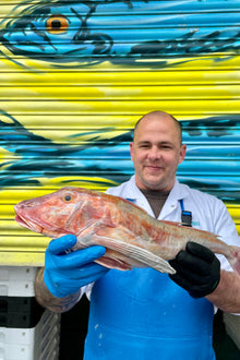 Mitch's Pick - Gurnard 1.4kg