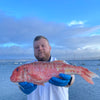 Market Pick - Red Mullet 1kg