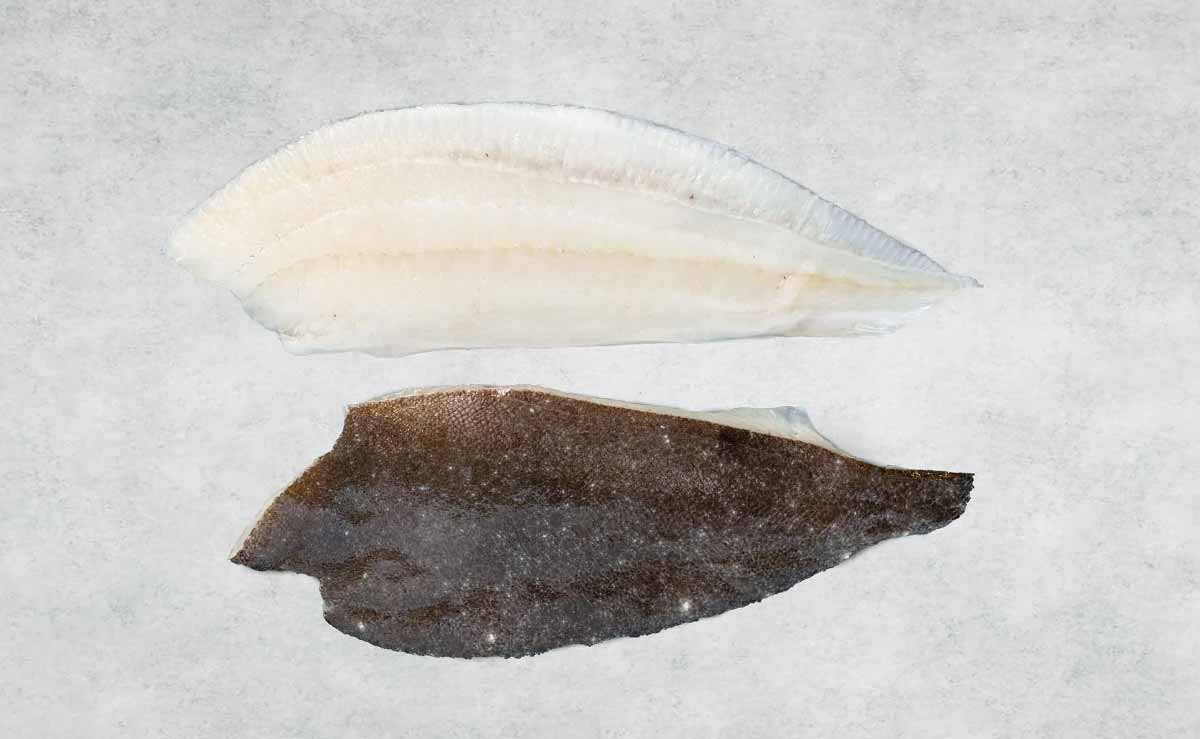 Brill Fillets with skin on - mobile