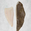 Brill fillets from Rockfish