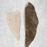 Brill fillets from Rockfish