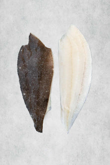 Brill fillets from Rockfish