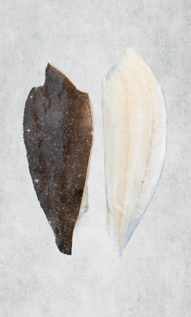 Brill Fillet - Frozen